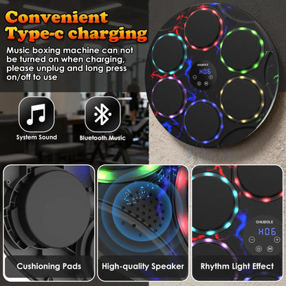SHUBOLE Wall-Mounted Music Boxing Trainer with Gloves - 9-Speed Punching Game for Adults and Kids, Upgraded 2025 Gift for Ages 6 and Up
